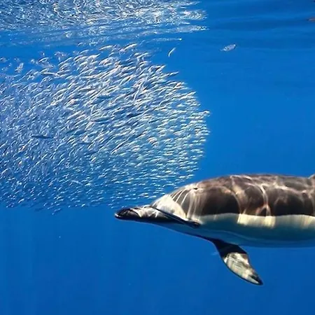 Lejlighed Hermoso Piso En Poris De Abona - Salt & Escape Poris