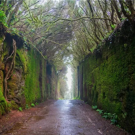 Hermoso Piso En Poris De Abona - Salt & Escape Poris